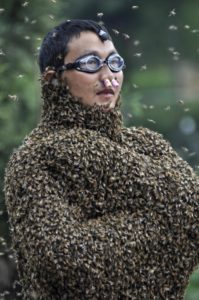 Кина - Такмичење пчелара