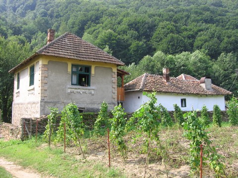 Куће се празне, плацеви џабе
