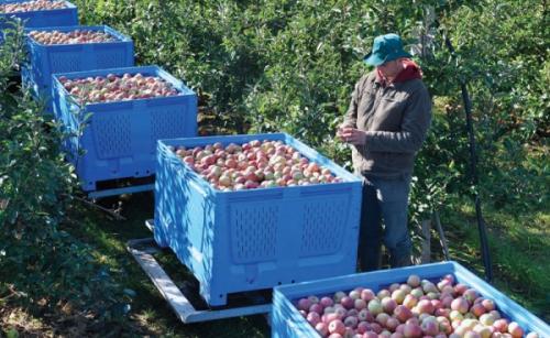 Суфицит аграра 992,4 милиона долара Суфицит аграра 992,4 милиона долара