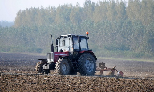 Аграр у ћорсокаку Аграр у ћорсокаку