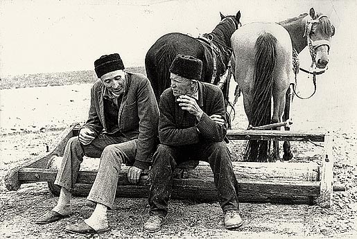 Србија нас убија (1): Харач на сељаке и старце Србија нас убија (1): Харач на сељаке и старце