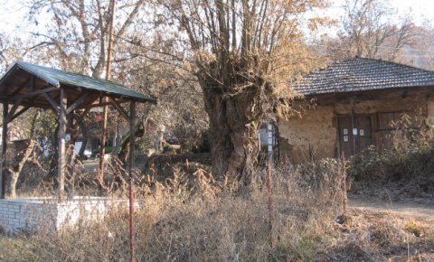 Србија изгубила 311.000 становника Србија изгубила 311.000 становника