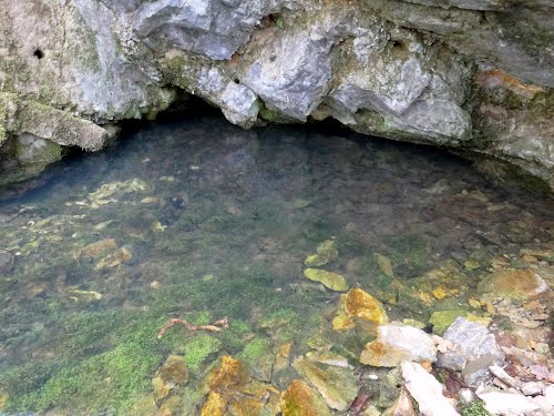 Руси купују воду из Србије по цени сирове нафте Руси купују воду из Србије по цени сирове нафте
