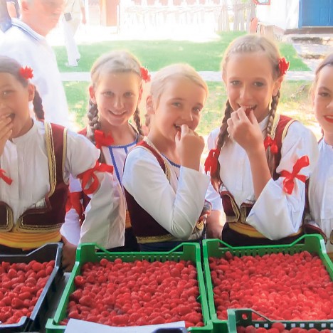 Нису нам потребне ГМО биљке