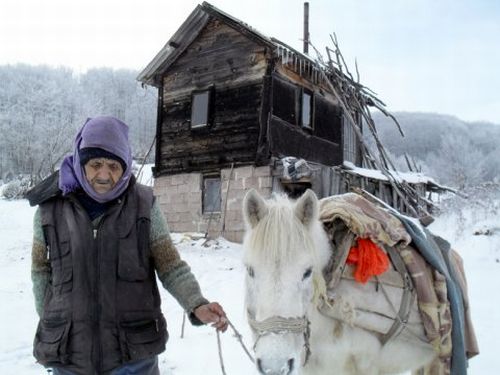 Пештер зебе по навици