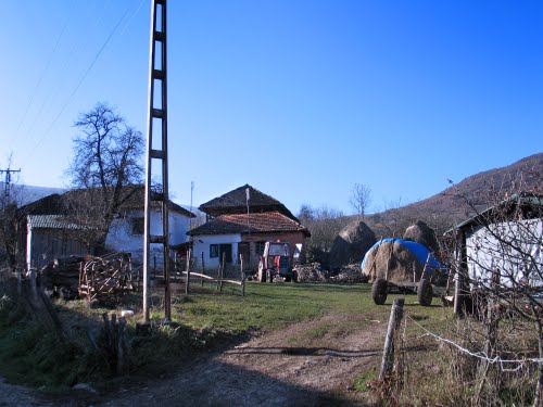 У Србији се пољопривредом бави свако четврто домаћинство У Србији се пољопривредом бави свако четврто домаћинство