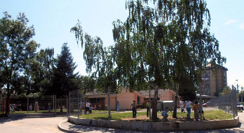 Крушевац: Деца на мети паса луталица