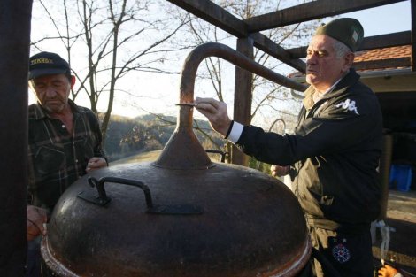 Николић хоће за директора друга с којим пече ракију Николић хоће за директора друга с којим пече ракију