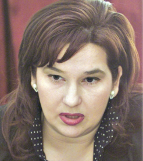 Госпођа министарка о којој Нушић ни сањао није
