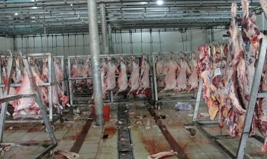 Прошле године смо појели чак 7.170 тона меса најгоре категорије Прошле године смо појели чак 7.170 тона меса најгоре категорије