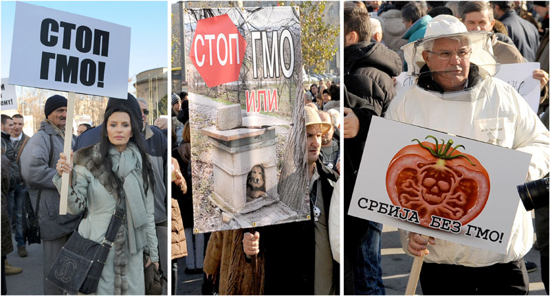 Одржан скуп против ГМО у Београду Одржан скуп против ГМО у Београду