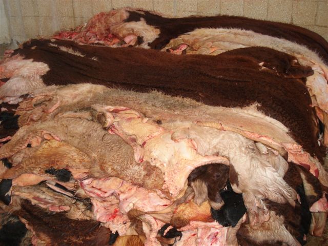Пропаст пољопривреде (2): Накупцу месо, сељаку кожа Пропаст пољопривреде (2): Накупцу месо, сељаку кожа