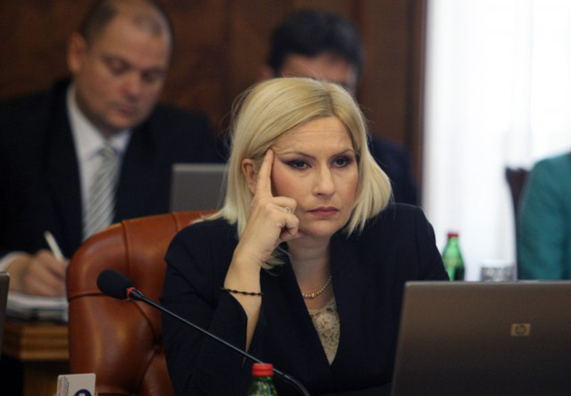 Најновији Зоранин будализам: "Плаше се они који неће да раде" Најновији Зоранин будализам: "Плаше се они који неће да раде"