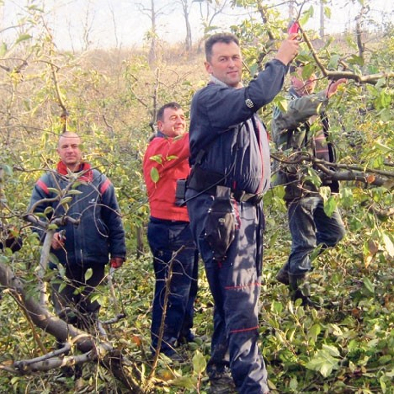 Где нас је довела НАТО банда! Воћа немамо довољно ни да покријемо потражњу на само московским пијацама Где нас је довела НАТО банда! Воћа немамо довољно ни да покријемо потражњу на само московским пијацама