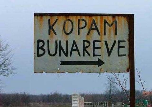 Четрдесет одсто Србије и без средње школе и без икакве радне квалификације Четрдесет одсто Србије и без средње школе и без икакве радне квалификације