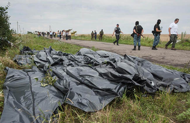 Породице Немаца погинулих у малезијском Боингу подносе тужбе против Украјине Породице Немаца погинулих у малезијском Боингу подносе тужбе против Украјине