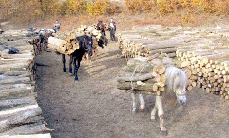 Пустошење природног богатства (2): Тутње камиони у глуво доба