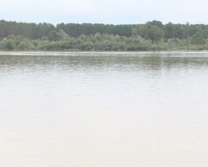КИША НЕ ЈЕЊАВА: На Златибору без струје 2.600 људи, порастао водостај Саве код Шапца КИША НЕ ЈЕЊАВА: На Златибору без струје 2.600 људи, порастао водостај Саве код Шапца