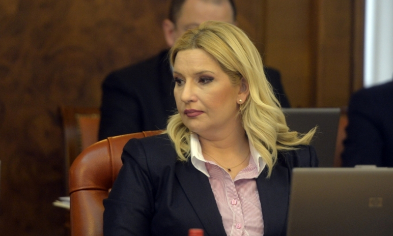Постоји ли у свету особа која може да одвали веће глупости од Зоране Михајловић?