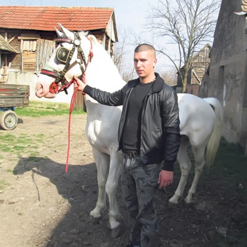 Деран тера коње, струја чува овце
