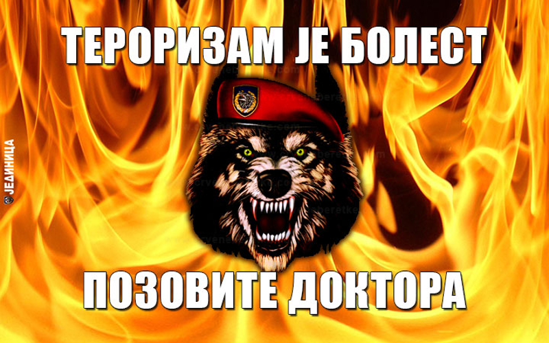 У борби против тероризма РС се ослања на Србију, на БиХ не може У борби против тероризма РС се ослања на Србију, на БиХ не може