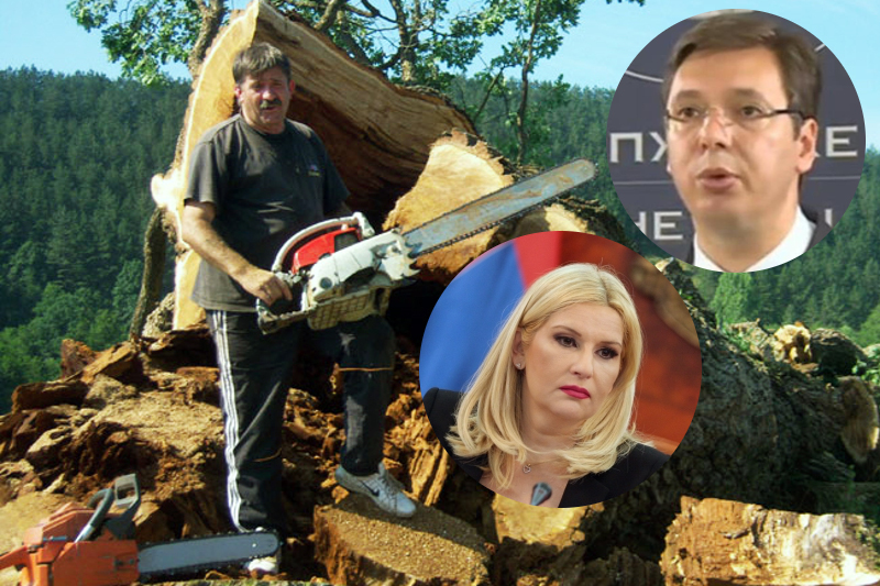 Секла тројица, са три тестере, само један се усудио да каже како се зове Секла тројица, са три тестере, само један се усудио да каже како се зове