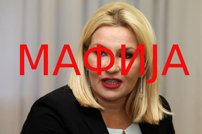 Михајловићка "замало" поклонила државне 4 милијарде евра, а сад тврди да је продаја Телекома - добра Михајловићка "замало" поклонила државне 4 милијарде евра, а сад тврди да је продаја Телекома - добра