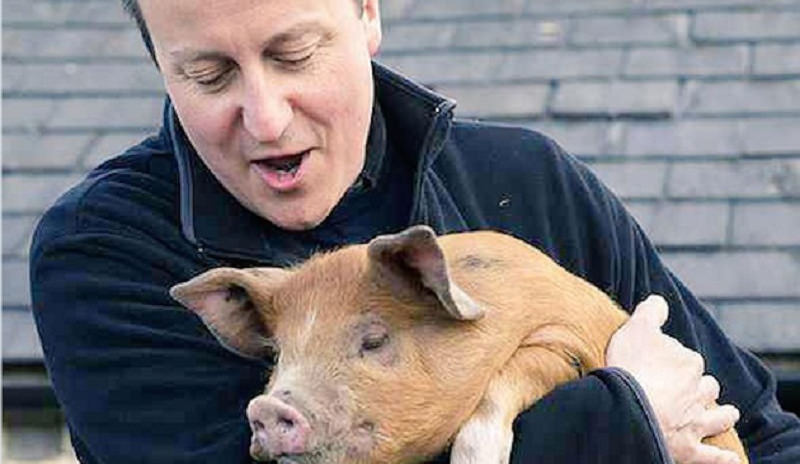 ЖЕСТОКИ СКАНДАЛ У БРИТАНИЈИ! Премијера Камерона оптужили да је имао секс са главом мртве свиње?! ЖЕСТОКИ СКАНДАЛ У БРИТАНИЈИ! Премијера Камерона оптужили да је имао секс са главом мртве свиње?!
