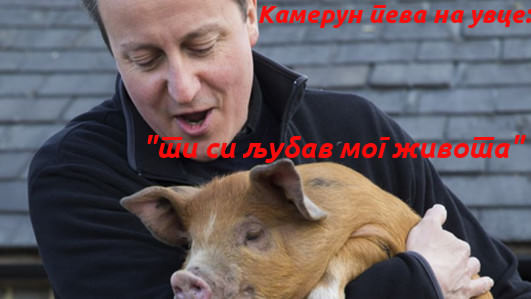 за разлику од касапина – премијер Камерун стварно воли свиње