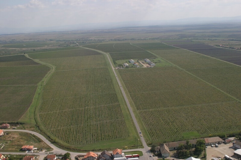 Највеће виногорје у Србији "Вршачки виногради" престали да раде: Отпуштени сви радници Највеће виногорје у Србији "Вршачки виногради" престали да раде: Отпуштени сви радници