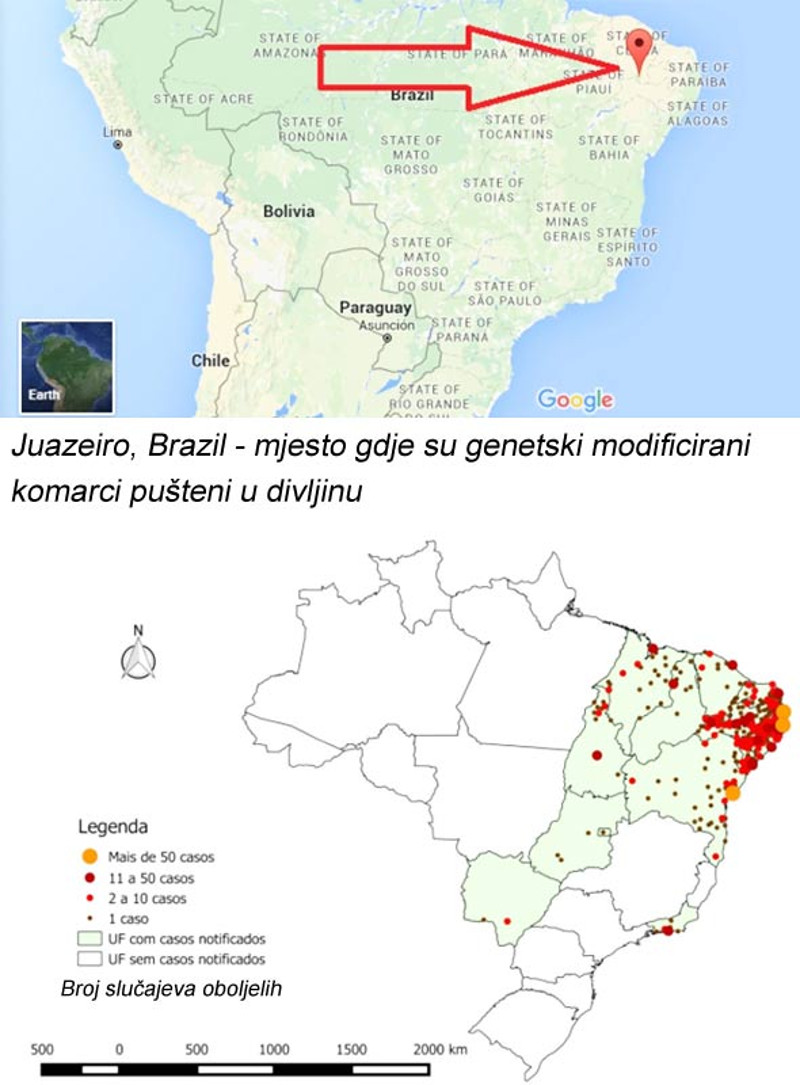 zika-virus-mapa (1)