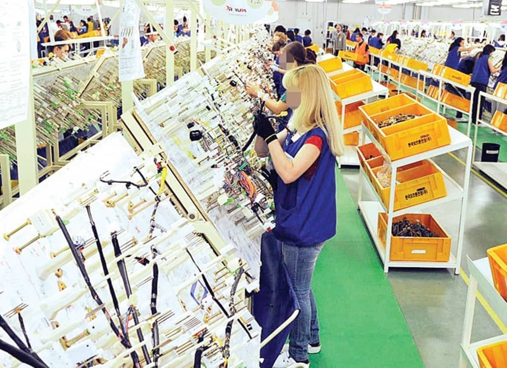 ХОРОР У ЈУРИ Радници удишу мишомор, добијају рак ХОРОР У ЈУРИ Радници удишу мишомор, добијају рак