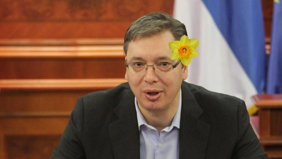 Ни глуп, ни паметан, али зато, недостижан нарцис Ни глуп, ни паметан, али зато, недостижан нарцис