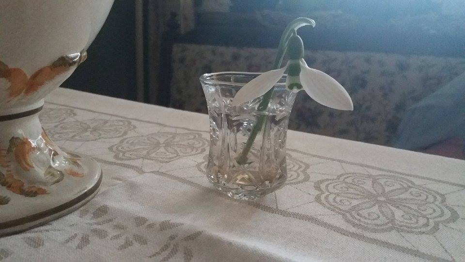 Прва висибаба :)