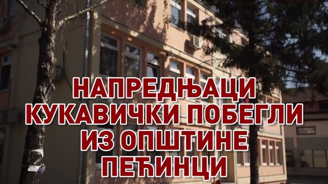 Напредњаци кукавички побегли из општине Пећинци! (видео) Напредњаци кукавички побегли из општине Пећинци! (видео)