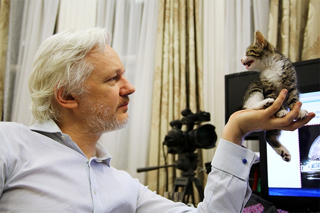 WikiLeaks објављује више тајних докумената америчке шпијунаже него што је открио Сноуден WikiLeaks објављује више тајних докумената америчке шпијунаже него што је открио Сноуден