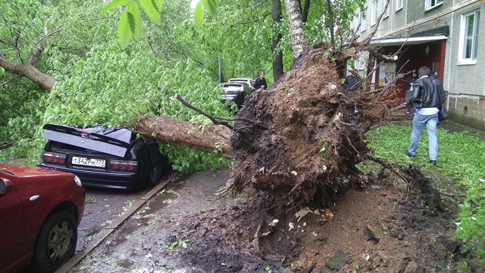 КАТАСТРОФАЛНО НЕВРЕМЕ ПОГОДИЛО МОСКВУ: Седам мртвих, 69 повређених (видео) КАТАСТРОФАЛНО НЕВРЕМЕ ПОГОДИЛО МОСКВУ: Седам мртвих, 69 повређених (видео)