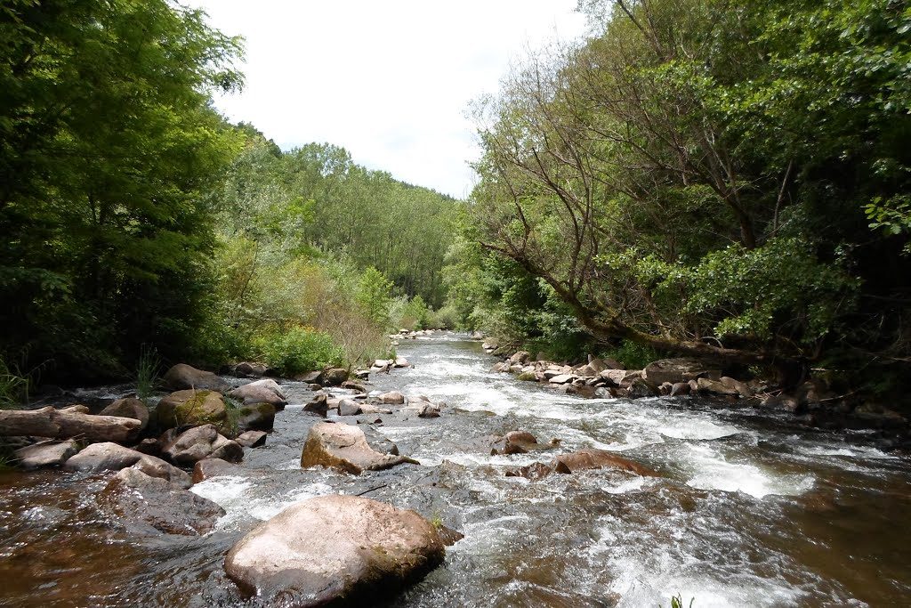 Одбранимо реке Старе планине: Настављамо борбу за све реке Србије, за Kошутњак и целокупну природу