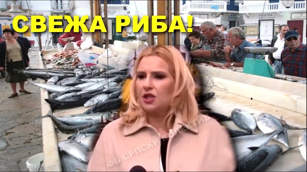 Пастрмке, јегуље, дебела дунавска риба! .... (видео) Пастрмке, јегуље, дебела дунавска риба! .... (видео)
