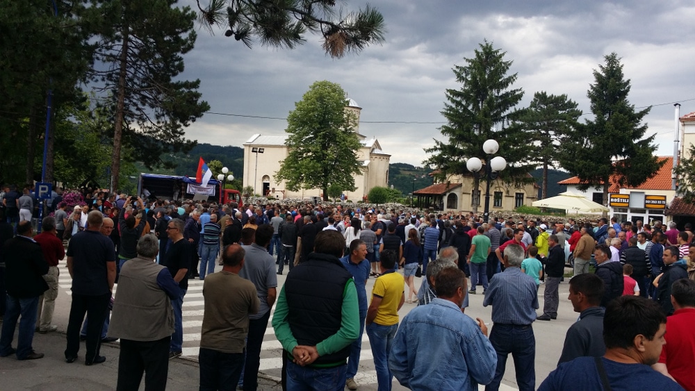 Вучићу, ове године си успео да уништиш и комплетан извоз малине јер си грамзив и алав! (видео) Вучићу, ове године си успео да уништиш и комплетан извоз малине јер си грамзив и алав! (видео)