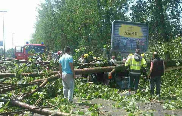СТРАВИЧНО НЕВРЕМЕ У НОВОМ САДУ Дрво пало на аутомобил, ПОГИНУЛА ЈЕДНА ОСОБА (видео) СТРАВИЧНО НЕВРЕМЕ У НОВОМ САДУ Дрво пало на аутомобил, ПОГИНУЛА ЈЕДНА ОСОБА (видео)