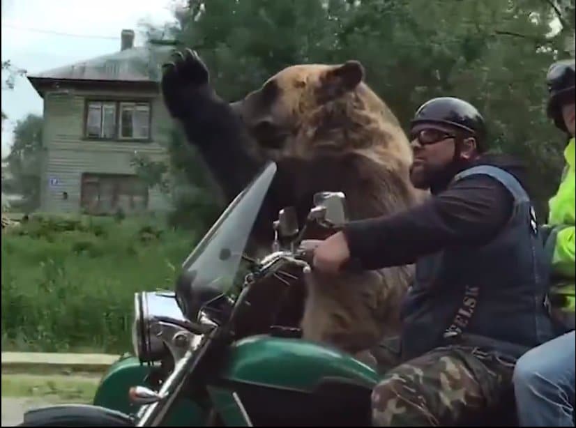 А у међувремену у Русији... (видео) А у међувремену у Русији... (видео)