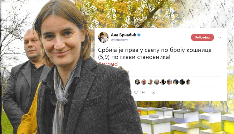 ГЛУПА КАО К***Ц! Шест кошница по глави становника или једна кошница по шест становника?! ГЛУПА КАО К***Ц! Шест кошница по глави становника или једна кошница по шест становника?!