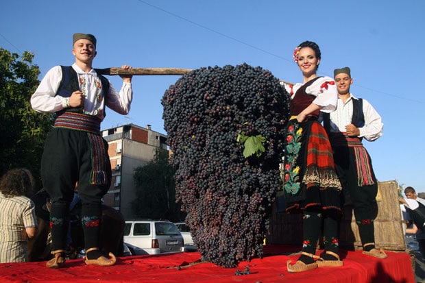 Смедерево: Винска престоница Србије (фото) Смедерево: Винска престоница Србије (фото)