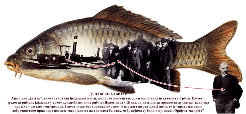 Дунавске але и санџаме