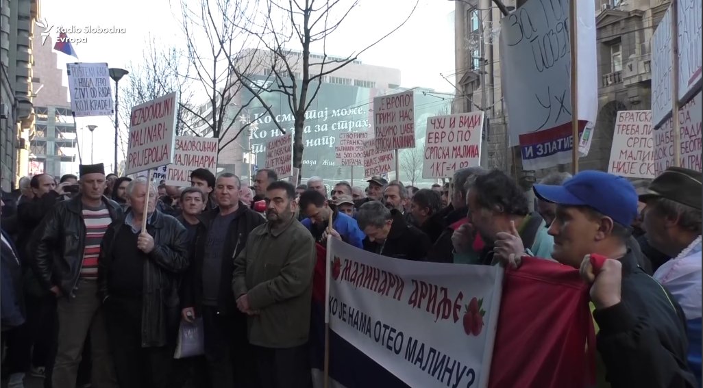 Протест малинара у Београду (видео) Протест малинара у Београду (видео)