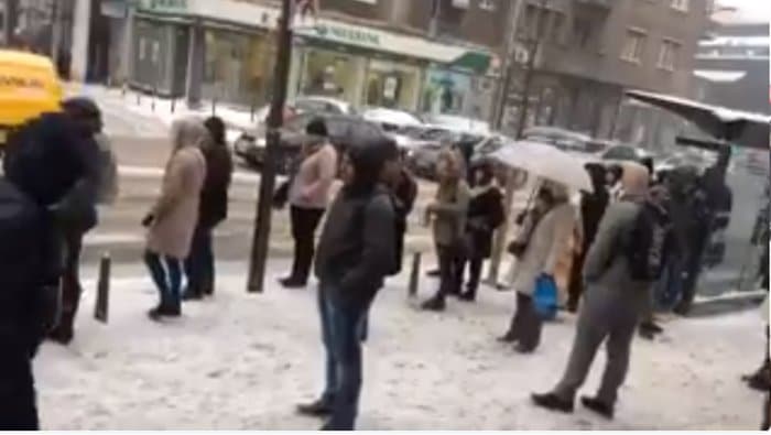 Колапс јавног превоза у Београду (видео) Колапс јавног превоза у Београду (видео)