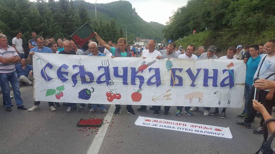 Произвођачи малина од сутра штрајкују глађу због ниске цене тог воћа, прете да ће исећи прсте Произвођачи малина од сутра штрајкују глађу због ниске цене тог воћа, прете да ће исећи прсте