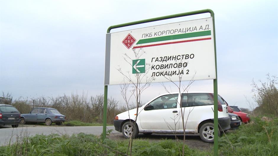 Стаматовић: Распикућа Вучић жели да опљачка, па придави ПКБ, а раднике претвори у робове Стаматовић: Распикућа Вучић жели да опљачка, па придави ПКБ, а раднике претвори у робове