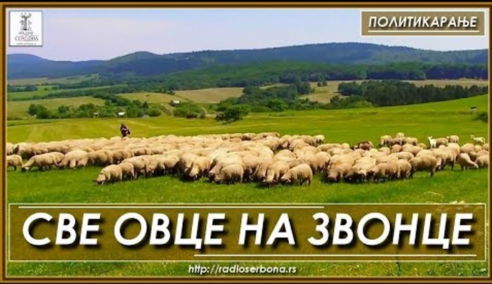 ПОЛИТИКАРАЊЕ бр.46. ''СВЕ ОВЦЕ НА ЗВОНЦЕ'' (видео) ПОЛИТИКАРАЊЕ бр.46. ''СВЕ ОВЦЕ НА ЗВОНЦЕ'' (видео)